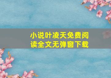 小说叶凌天免费阅读全文无弹窗下载