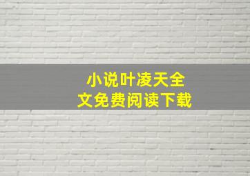 小说叶凌天全文免费阅读下载