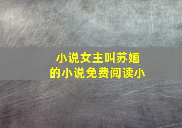 小说女主叫苏婳的小说免费阅读小