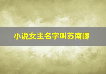 小说女主名字叫苏南卿