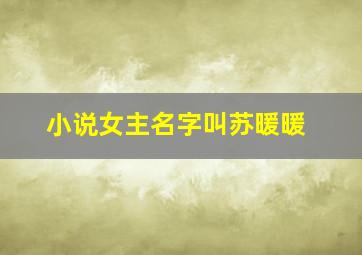 小说女主名字叫苏暖暖