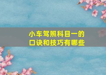 小车驾照科目一的口诀和技巧有哪些