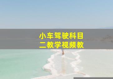 小车驾驶科目二教学视频教