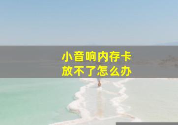 小音响内存卡放不了怎么办