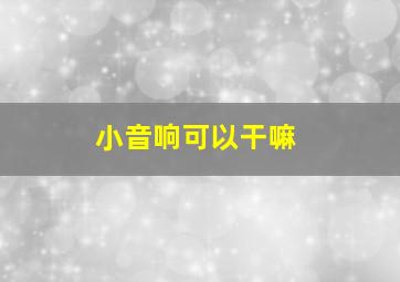 小音响可以干嘛