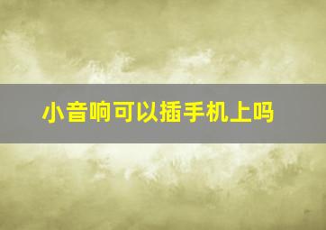 小音响可以插手机上吗