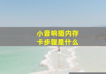 小音响插内存卡步骤是什么