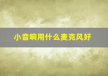 小音响用什么麦克风好