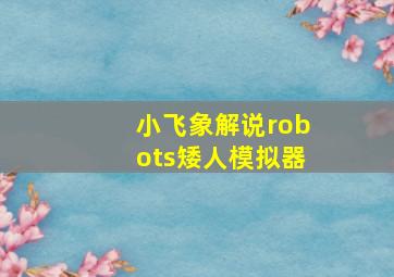 小飞象解说robots矮人模拟器