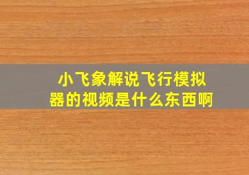 小飞象解说飞行模拟器的视频是什么东西啊