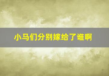 小马们分别嫁给了谁啊