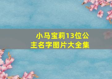 小马宝莉13位公主名字图片大全集