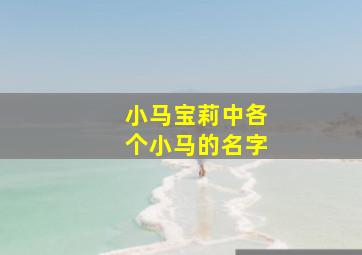 小马宝莉中各个小马的名字