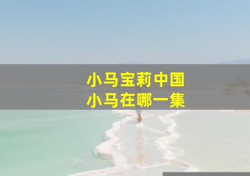 小马宝莉中国小马在哪一集