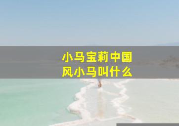 小马宝莉中国风小马叫什么