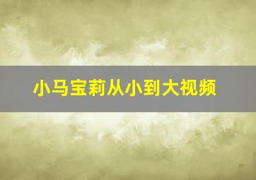 小马宝莉从小到大视频