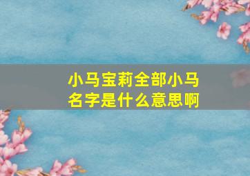 小马宝莉全部小马名字是什么意思啊