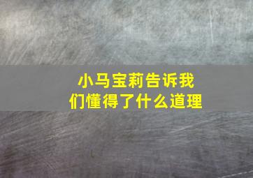 小马宝莉告诉我们懂得了什么道理