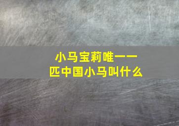 小马宝莉唯一一匹中国小马叫什么