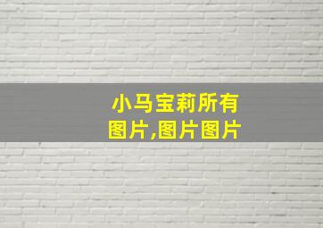 小马宝莉所有图片,图片图片