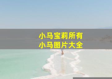 小马宝莉所有小马图片大全