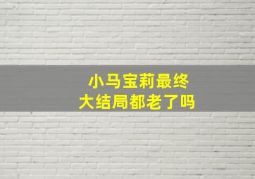 小马宝莉最终大结局都老了吗