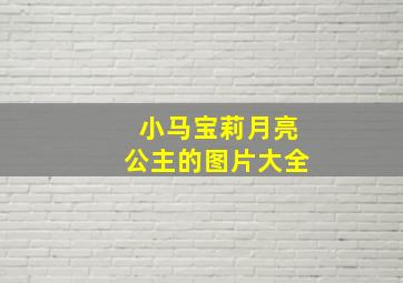 小马宝莉月亮公主的图片大全