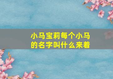 小马宝莉每个小马的名字叫什么来着