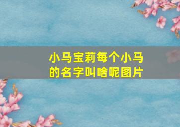 小马宝莉每个小马的名字叫啥呢图片