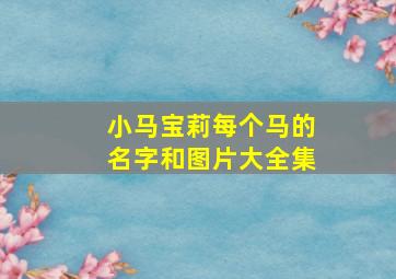 小马宝莉每个马的名字和图片大全集