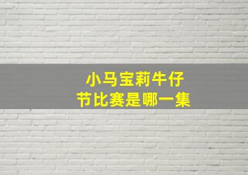 小马宝莉牛仔节比赛是哪一集