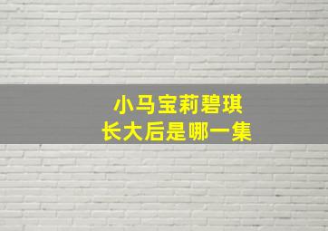 小马宝莉碧琪长大后是哪一集