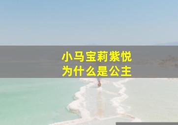 小马宝莉紫悦为什么是公主