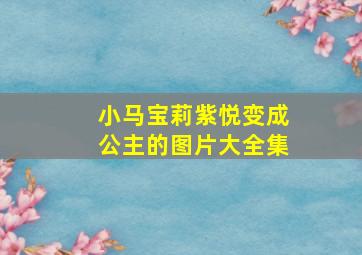 小马宝莉紫悦变成公主的图片大全集