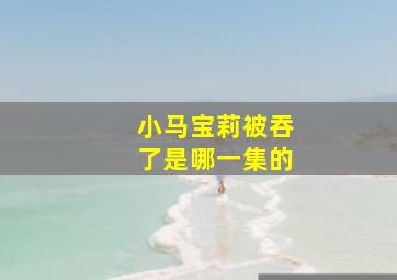 小马宝莉被吞了是哪一集的