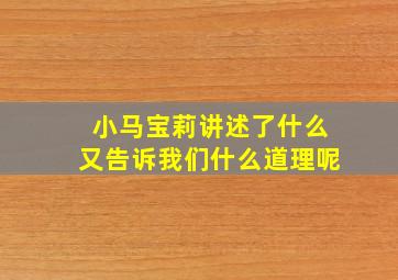 小马宝莉讲述了什么又告诉我们什么道理呢