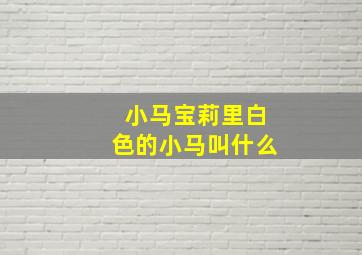 小马宝莉里白色的小马叫什么