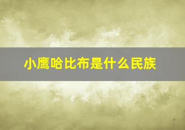 小鹰哈比布是什么民族