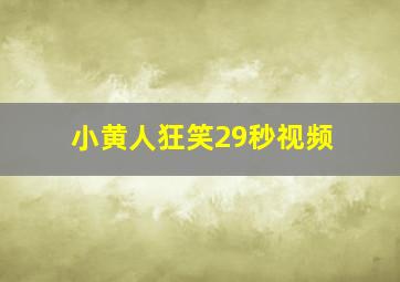 小黄人狂笑29秒视频