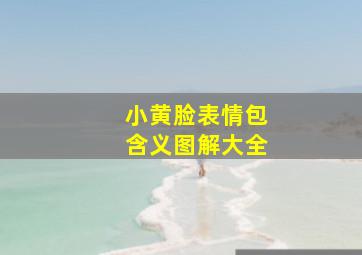 小黄脸表情包含义图解大全