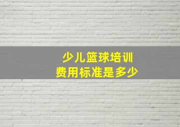 少儿篮球培训费用标准是多少