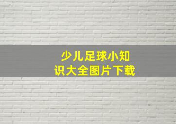 少儿足球小知识大全图片下载