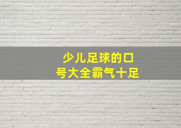 少儿足球的口号大全霸气十足