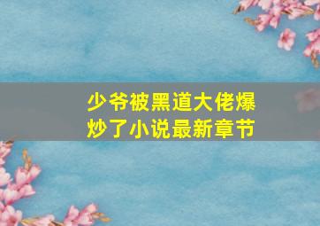 少爷被黑道大佬爆炒了小说最新章节