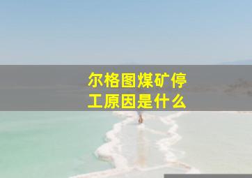 尔格图煤矿停工原因是什么