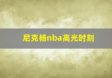 尼克杨nba高光时刻