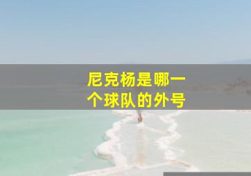 尼克杨是哪一个球队的外号