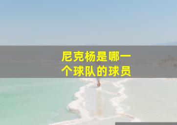 尼克杨是哪一个球队的球员