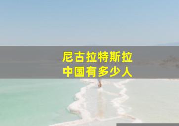 尼古拉特斯拉中国有多少人