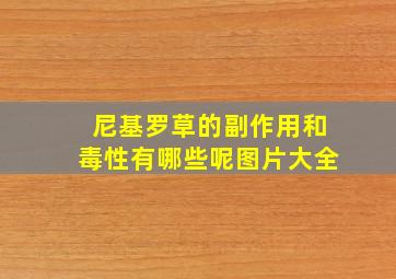 尼基罗草的副作用和毒性有哪些呢图片大全